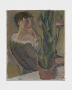 Le cactus en fleurs