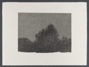 Arbres – Nuit