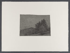 Paysages avec sapins