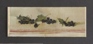Grappes de cassis