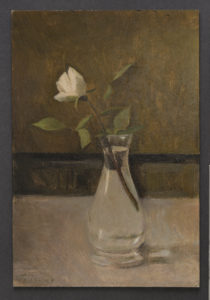 Rose dans un vase