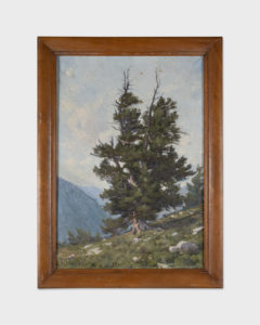 Grand arbre dans les Alpes